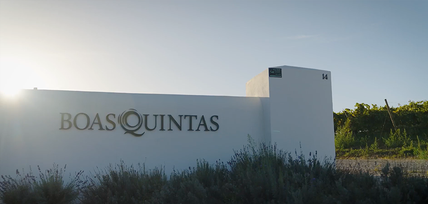 Quinta da Giesta em Mortágua, Viseu — foto 2