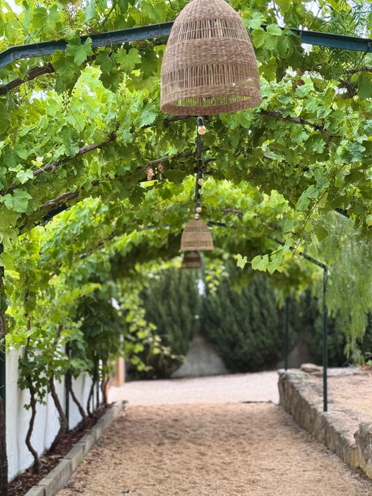 Casal da Zargatinha em Torres Vedras, Lisboa — foto 8