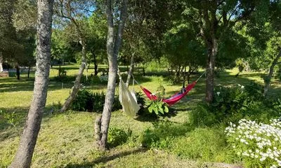 Casa Yucca em Cascais, Lisboa — foto 1