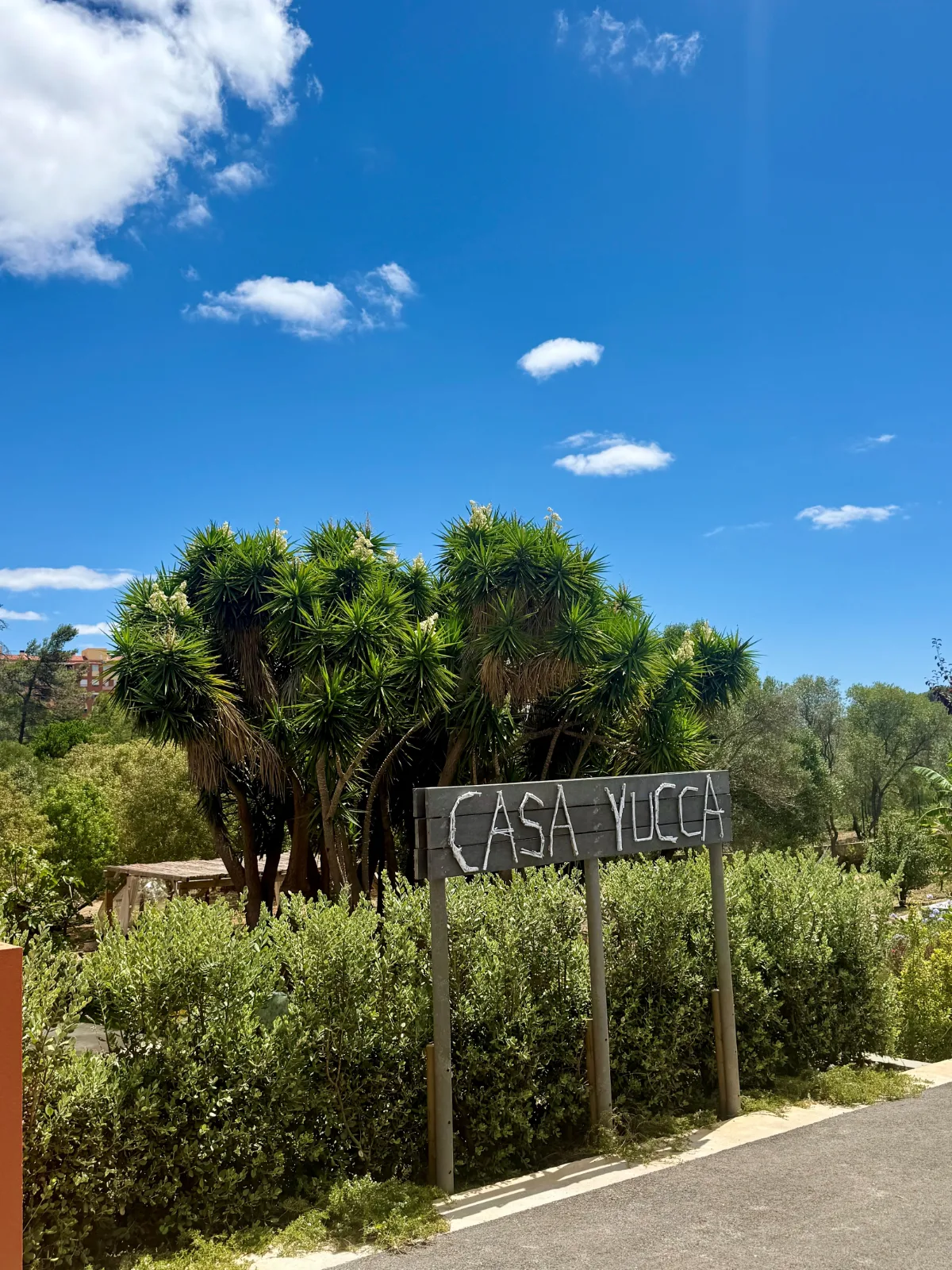 Casa Yucca em Cascais, Lisboa — foto 5
