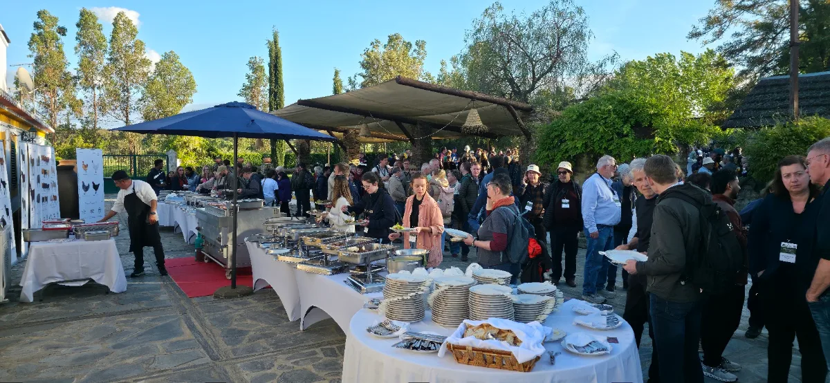 Quinta Nova do Degebe - Eventos em Évora — foto 4