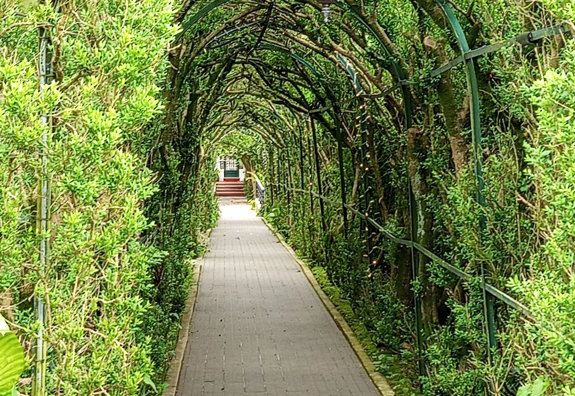 Quinta do Arco em Trofa, Porto — foto 5