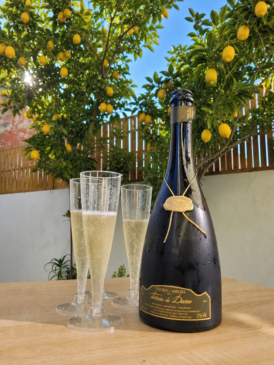 Lemon Loft em Matosinhos, Porto — foto 12