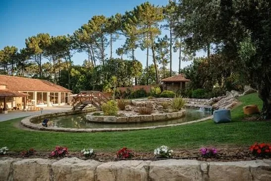Foto 4 de Quinta do Acipreste