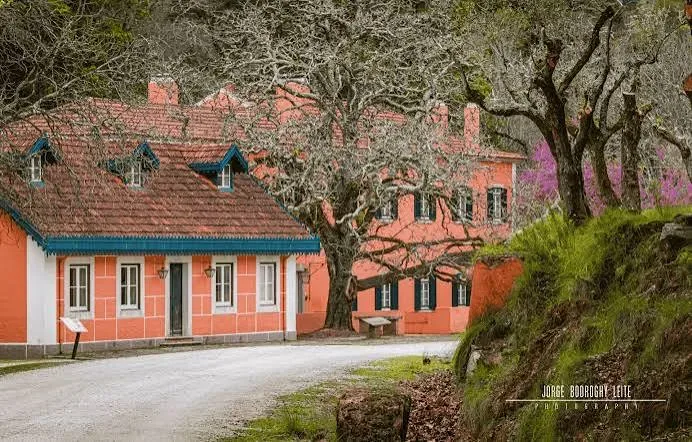 Tapada Nacional de Mafra em Lisboa