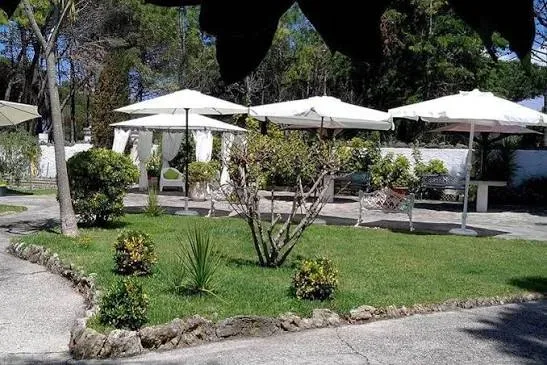Foto 4 de Quinta do Camejo