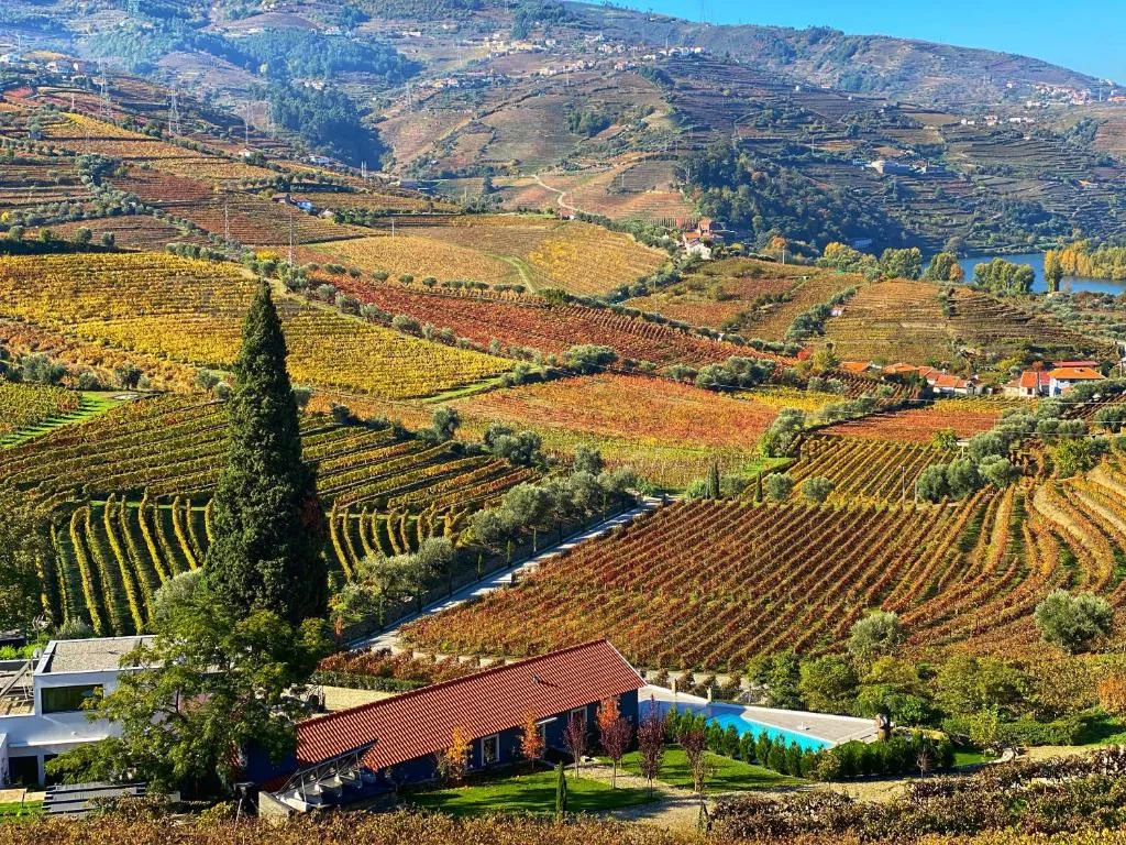 Quinta da Salada - Turismo Rural em Lamego, Viseu — foto 1