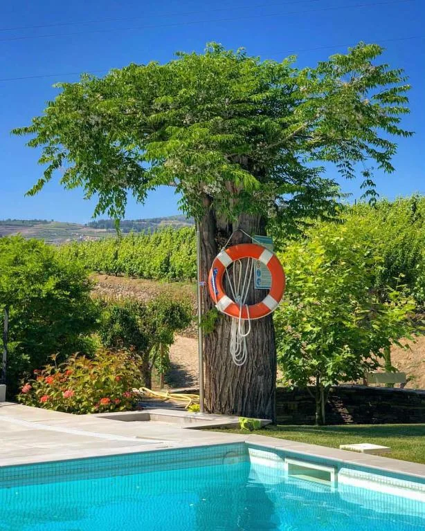 Quinta da Salada - Turismo Rural em Lamego, Viseu — foto 8