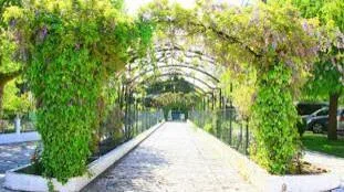 Quinta Valenciana em Lisboa — foto 1