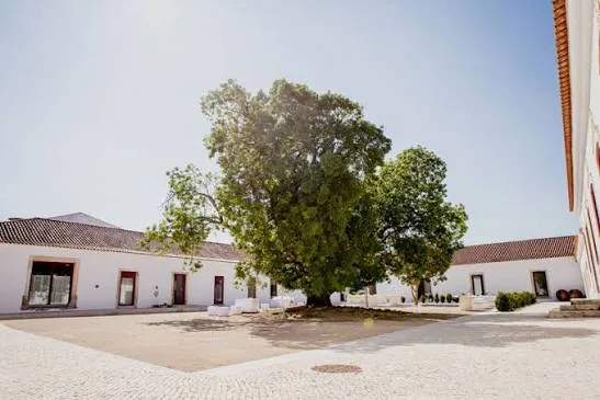 Quinta da Lapa em Lisboa — foto 4