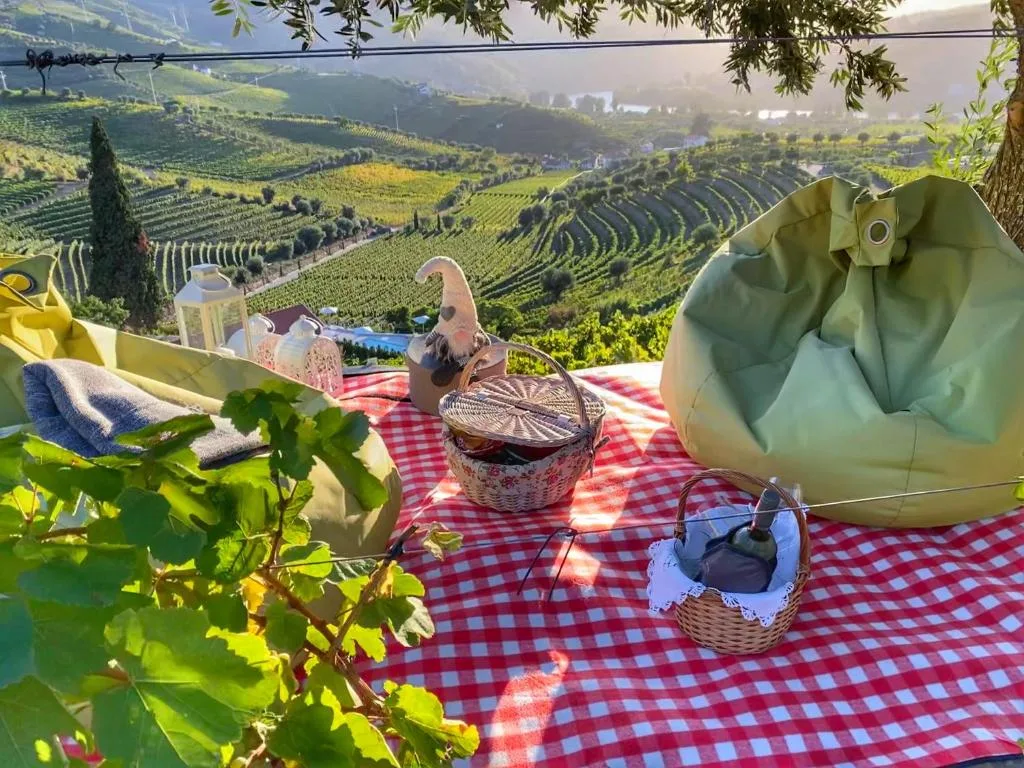 Quinta da Salada - Turismo Rural em Lamego, Viseu — foto 24