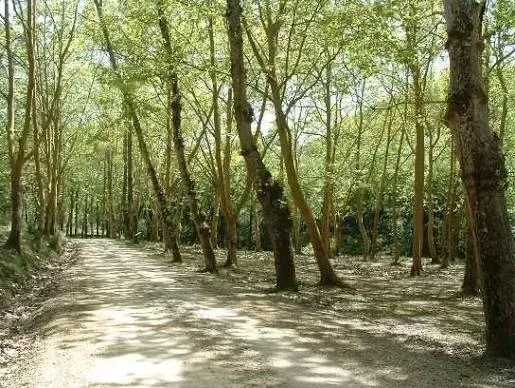 Foto 2 de Tapada Nacional de Mafra