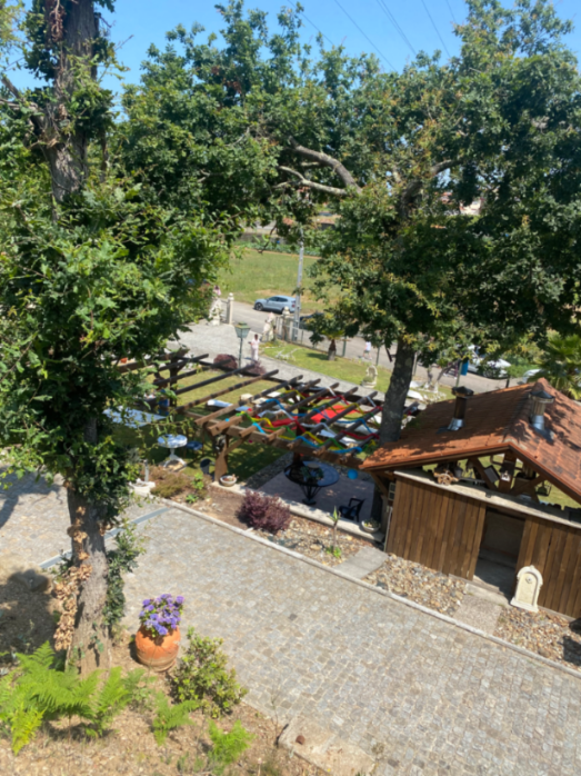 Quintinha dos casais em Santa Maria da Feira, Aveiro — foto 18