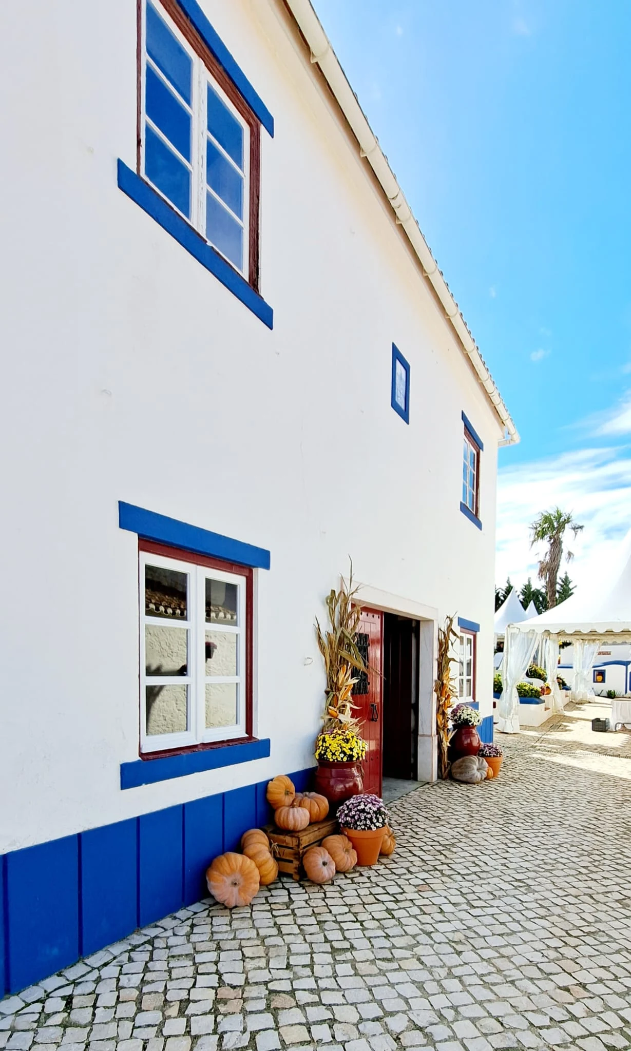 Casal do Mogo em São Pedro da Cadeira, Lisboa — foto 8