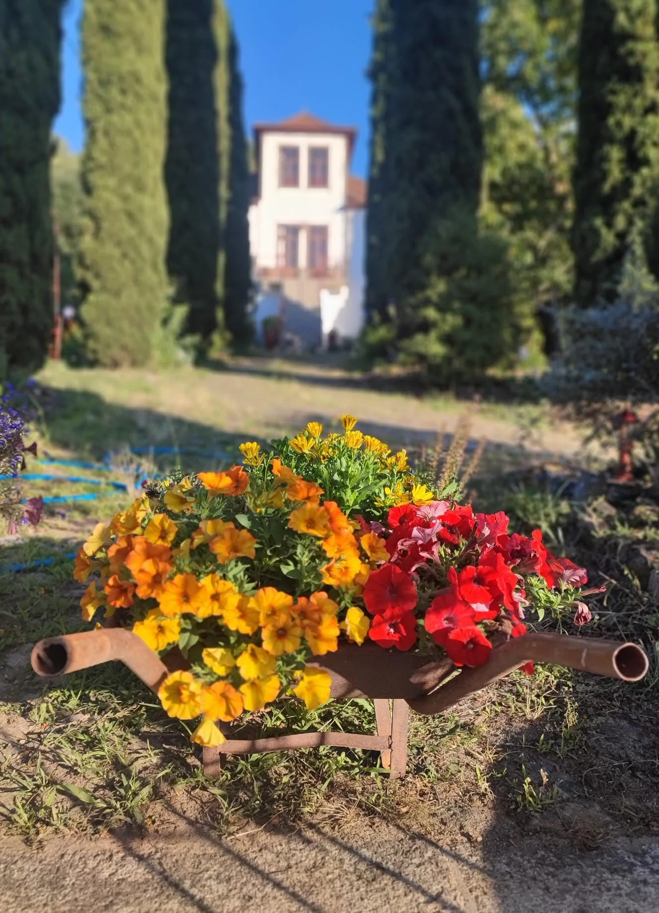 Quinta do Craveiro-Ponte de Lima em Ponte de Lima, Viana do Castelo — foto 4