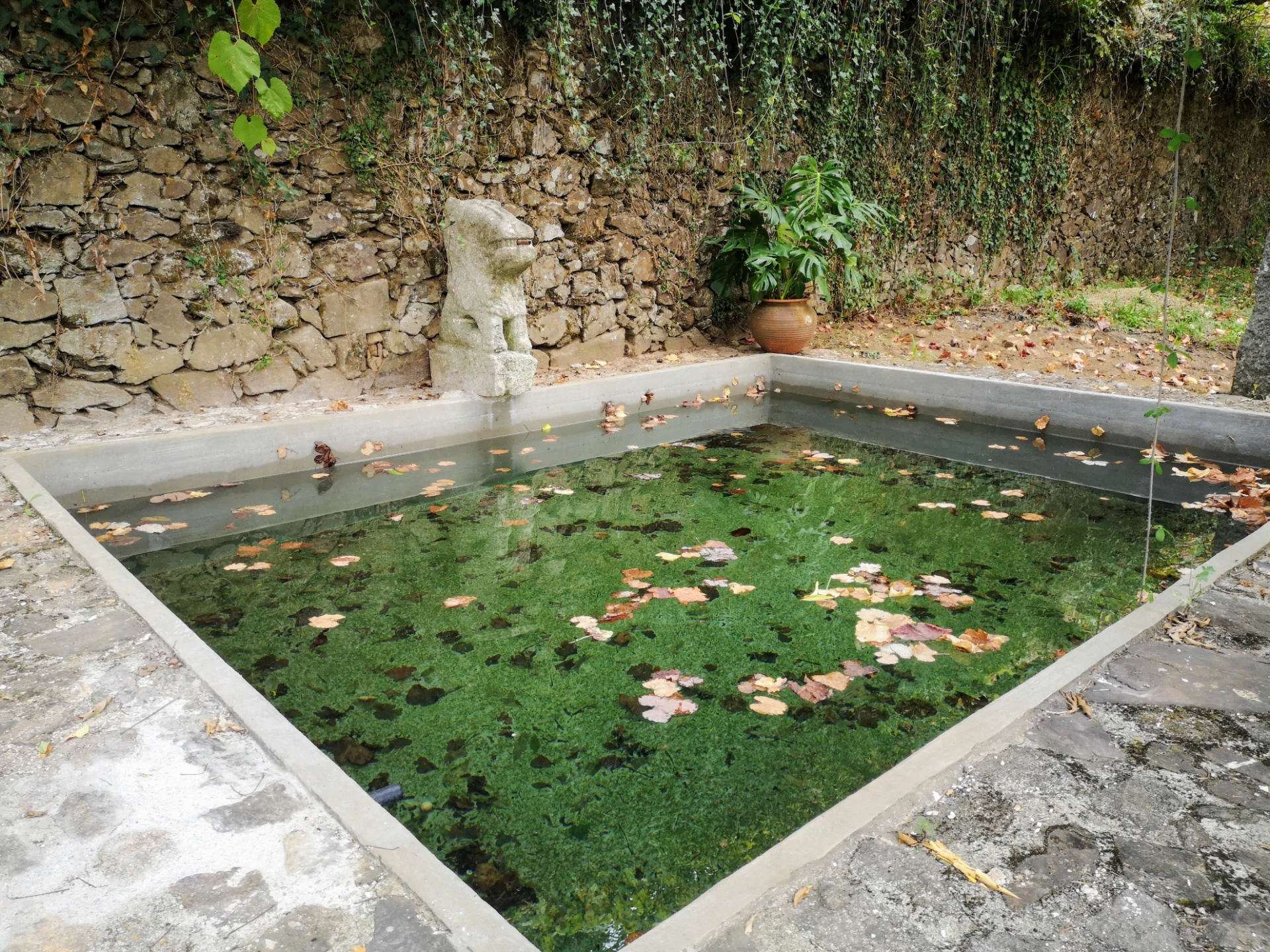 Quinta do Craveiro-Ponte de Lima em Ponte de Lima, Viana do Castelo — foto 3