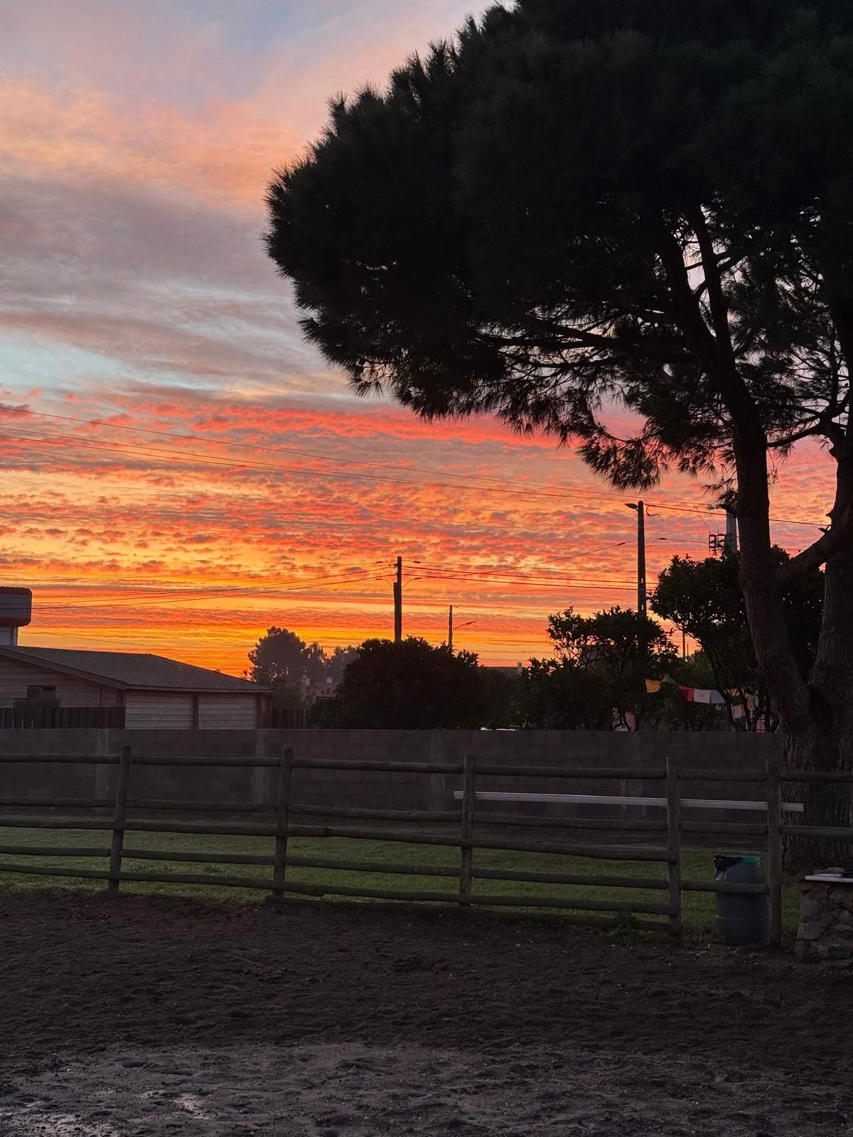 Amendoeira da Aldeia em Moita, Setúbal — foto 4