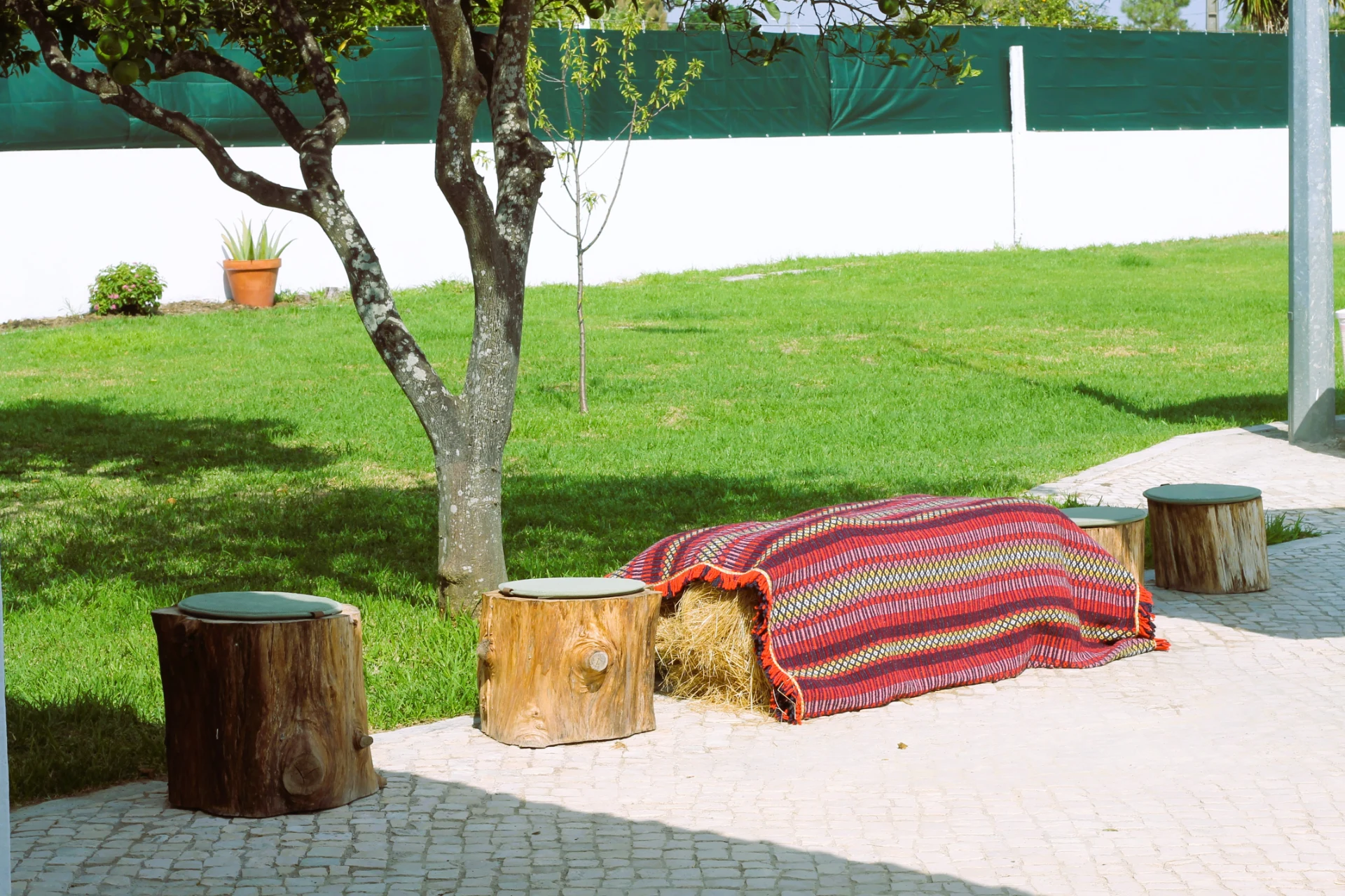 Amendoeira da Aldeia em Moita, Setúbal — foto 21