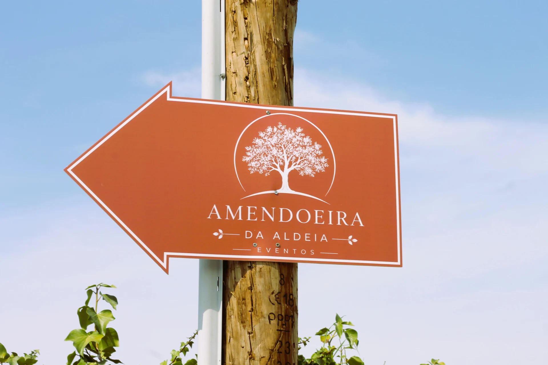Amendoeira da Aldeia em Moita, Setúbal — foto 28