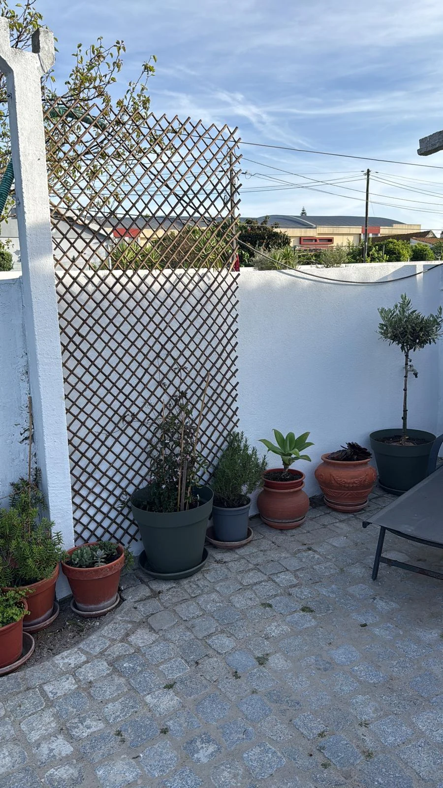 Amendoeira da Aldeia em Moita, Setúbal — foto 3