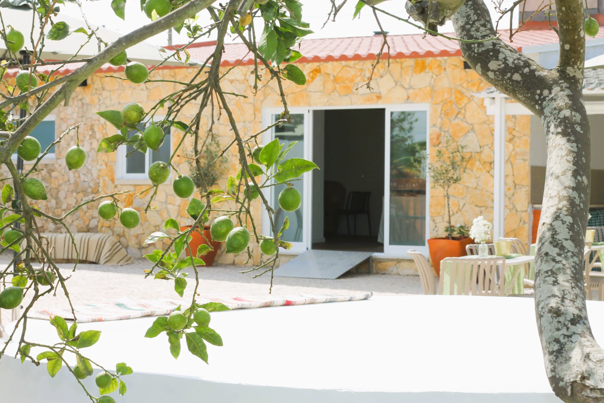 Amendoeira da Aldeia em Moita, Setúbal — foto 29