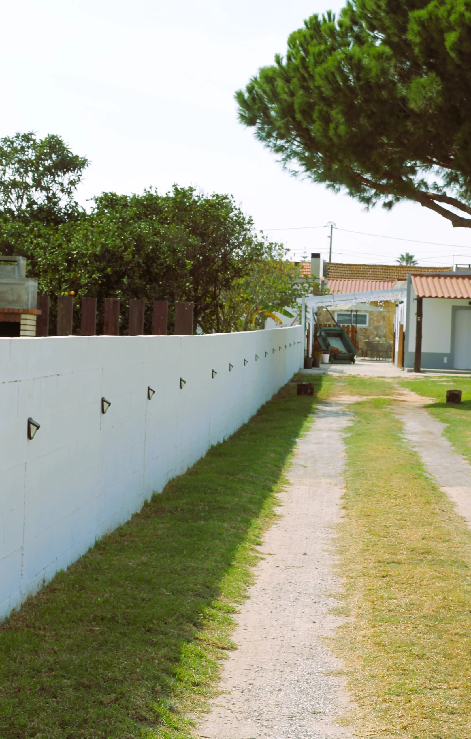 Amendoeira da Aldeia em Moita, Setúbal — foto 27